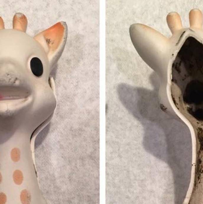 Mame skužile: Omiljena igračka žirafa Sophie rasadnik plijesni