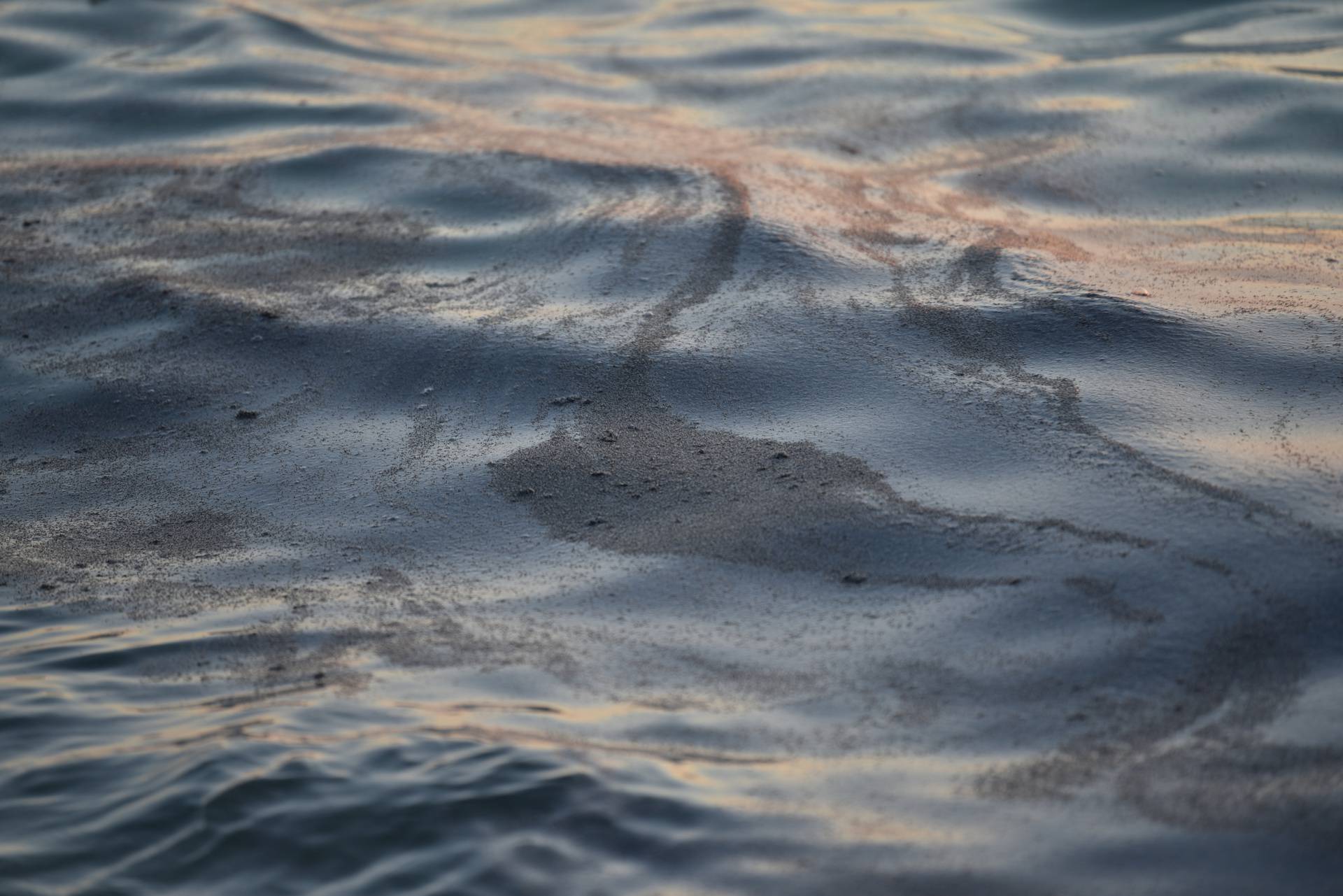 Mušice preplavile more na plaži Donja Luka u Makarskoj