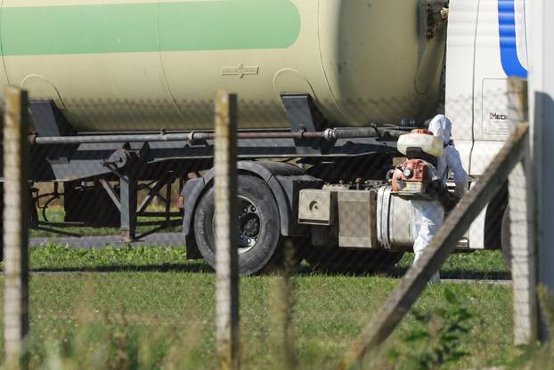 Sokolovac: Kreće eutanazija svinja, uvode se novi sigurnosni protokoli