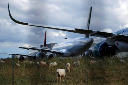 A350 passenger aircraft are seen parked at the Airbus factory in Blagnac near Toulouse