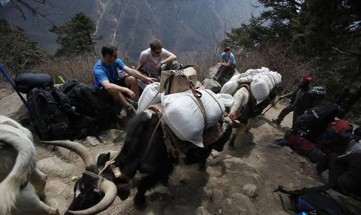 Kriketaši žele odigrati tekmu na Mount Everestu