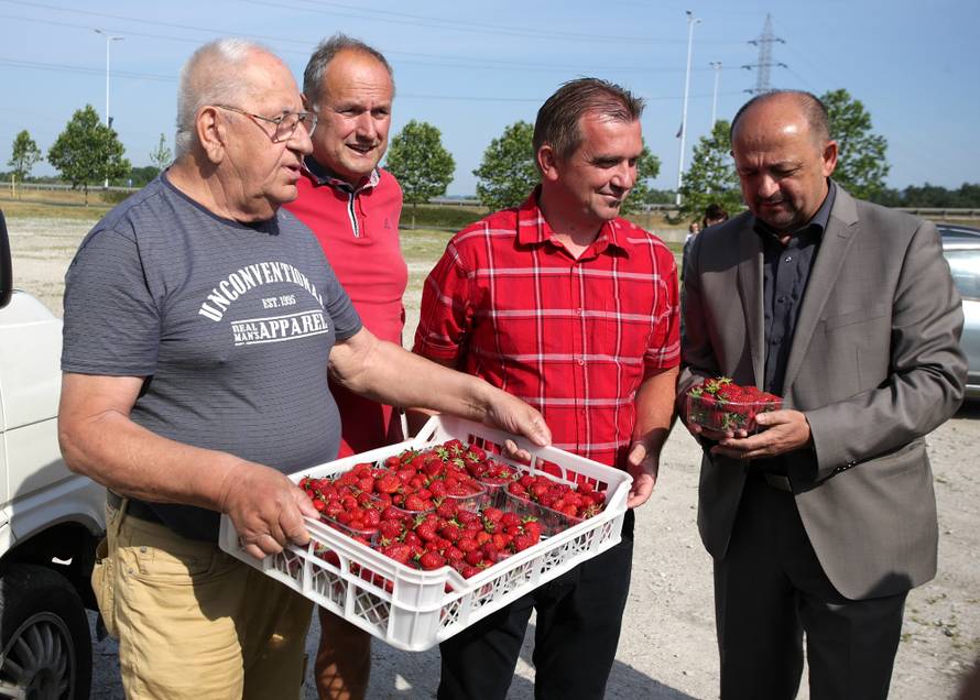 Voćari dijele jagode: 'Cijena od 8,99 kn je niska i nerealna...'