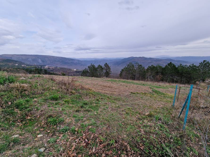 Oprtalj: Parcela u vlasništvu Hrvoja Vojkovića na kojoj je trebao zasaditi tulipane