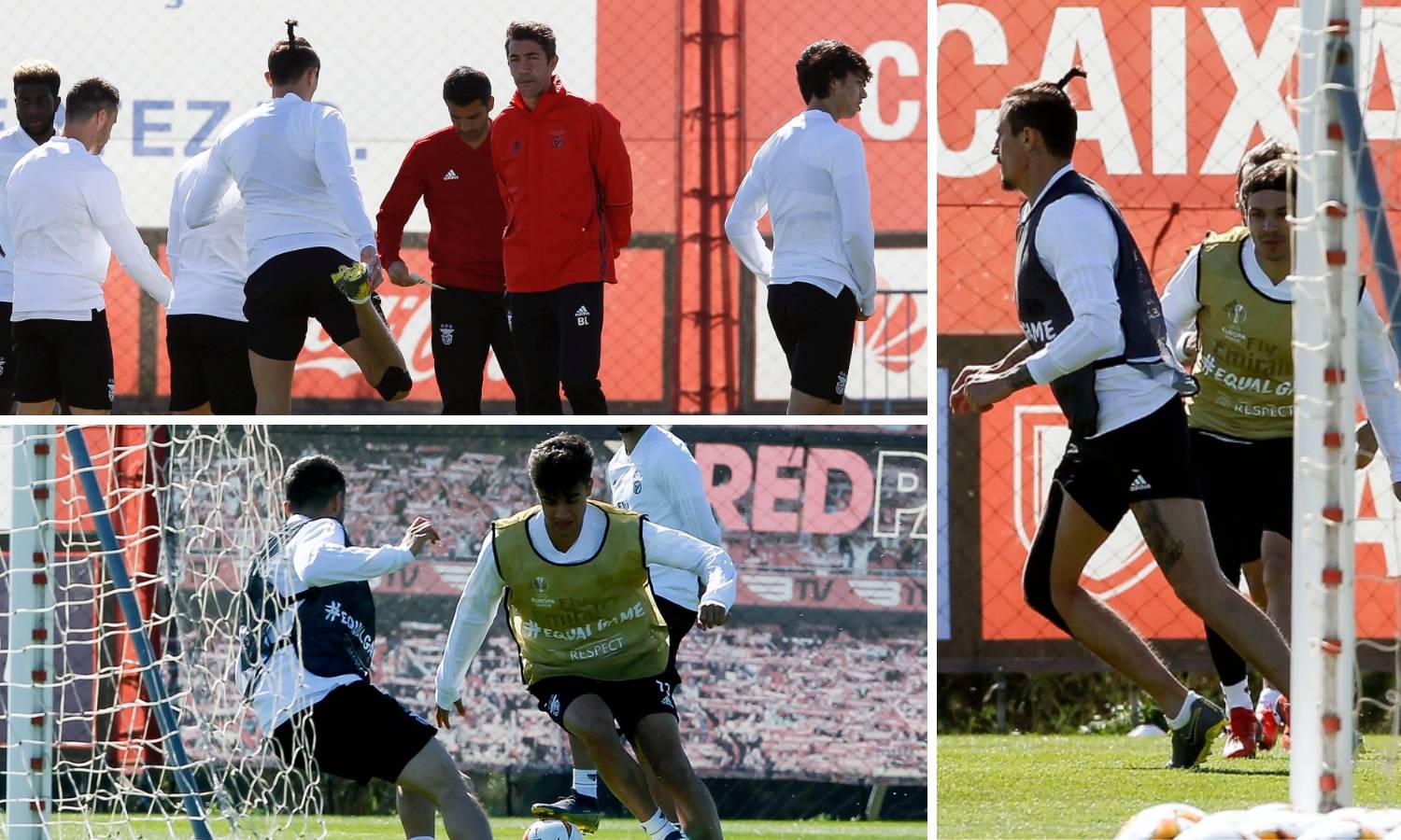 Benfica odradila zadnji trening: Za Dinamo joj se vratio Fejsa