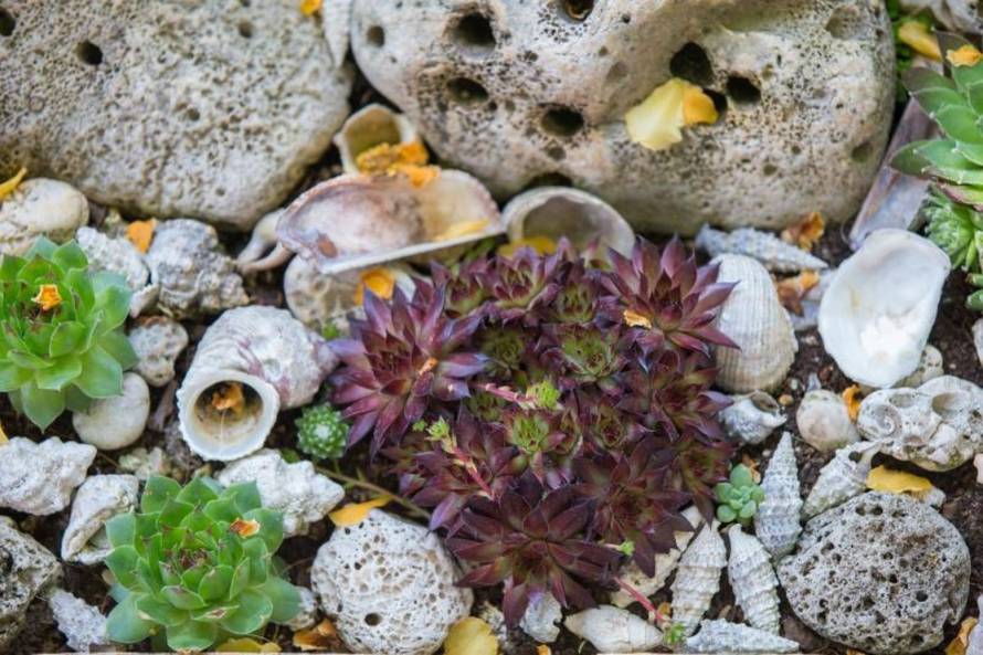 Grgo Jelavić/Pixsell