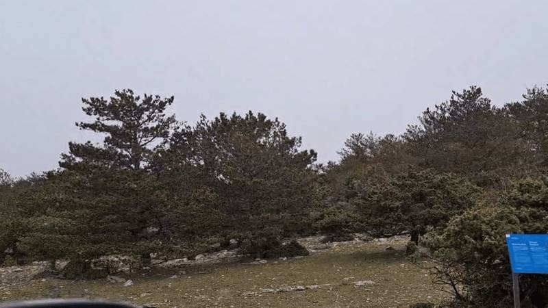 VIDEO Na Braču je pao snijeg