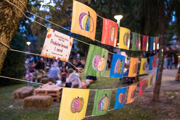 Održana 21. Bučijada i Sajam bučina ulja u Ivanić-Gradu