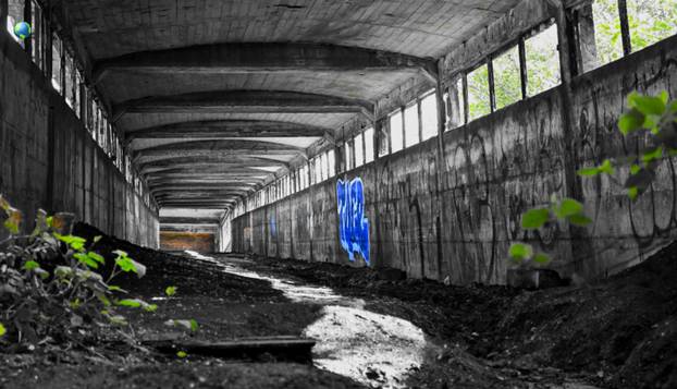 FOTO Evo kako bi izgledalo da ostanete posljednji čovjek na svijetu:  Priroda preuzima sve...