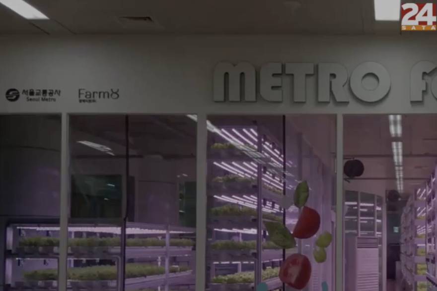 Metro farma