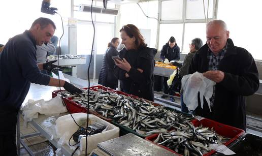 FOTO Pogledajte cijene u &scaron;ibenskoj ribarnici - Unato&ccaron; plavom dizelu: Bez poskupljenja