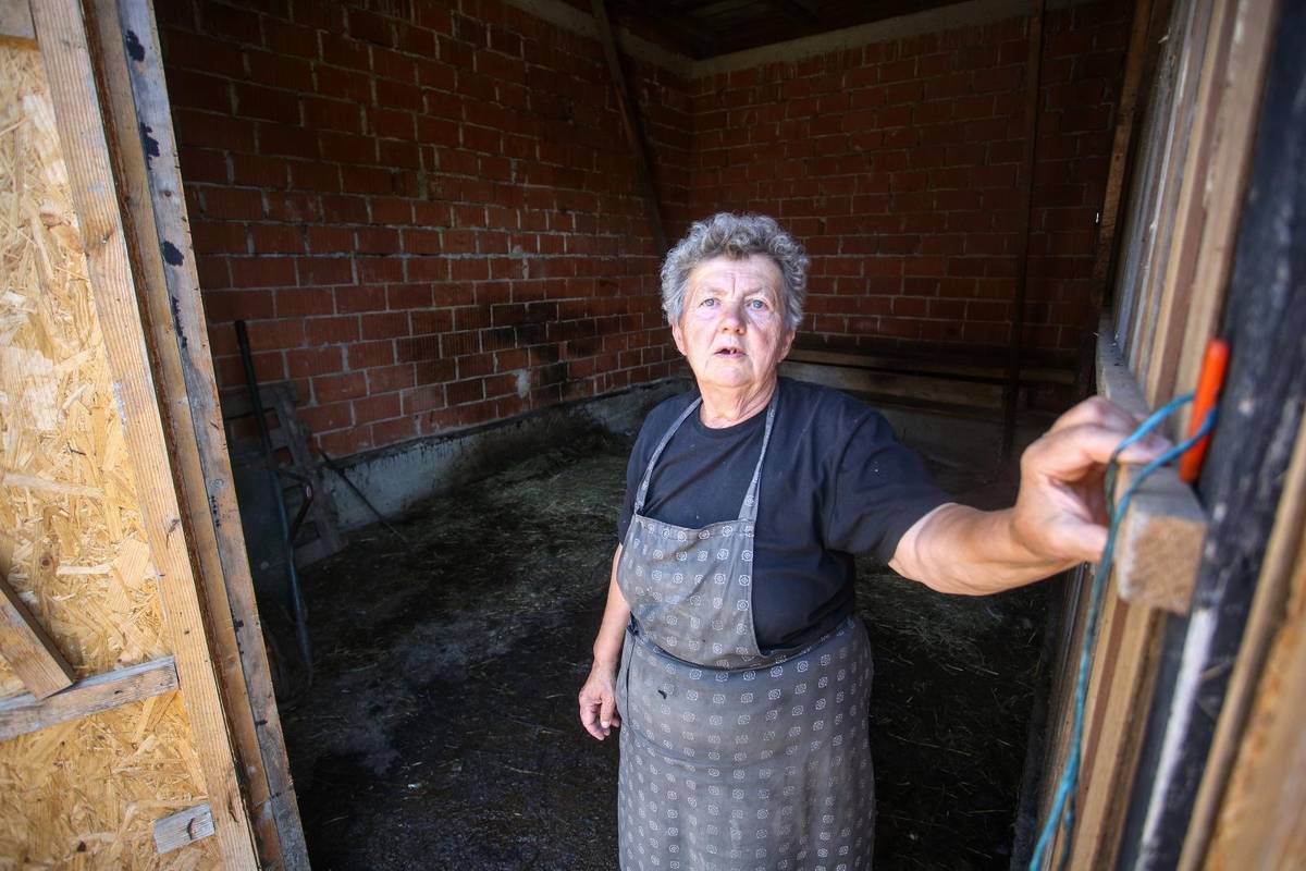 Očaj nakon potresa: Muž mi je umro, a onda se kuća srušila na mene. 180 dana živim bez vode