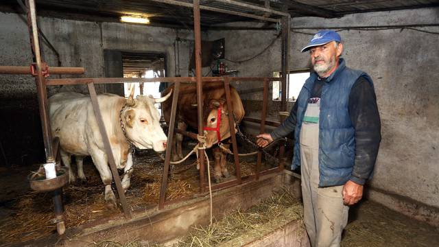 Nakon tri tjedna lutanja Mica i Mojca vratile su se Franji...