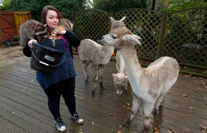 Od svojeg doma napravila Zoo: Ima čak 71 ljubimca 