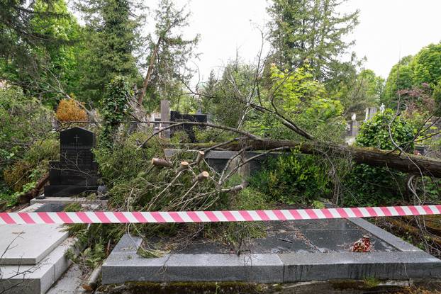 U oluji porušena stabla na Mirogoju napravila su veliku štetu