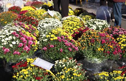 Inspektori 'češljaju' cvjećarnice uoči blagdana Svih Svetih: Evo kome prijeti kazna od 4.000 €