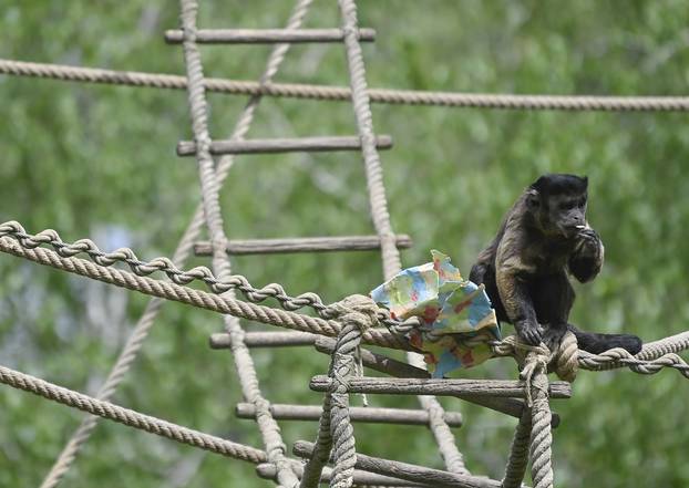 Zagreb: Podjela pisanica uz edukativni pogram za djecu u zoološkom vrtu