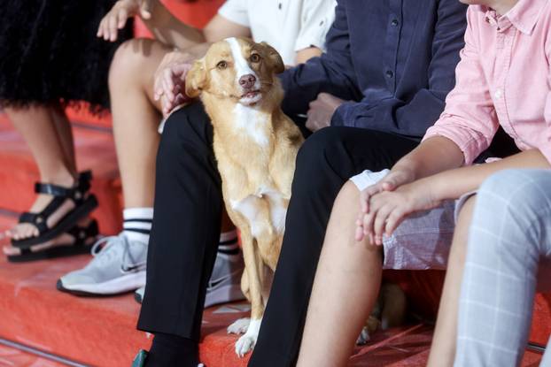 Sarajevo: Prvi crveni tepih treceg dana 31. Sarajevo Film Festivala