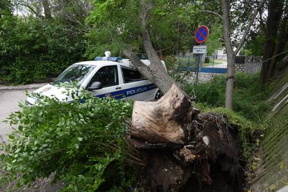 Sibenik: Jak vjetar srusio veliko drvo i razbio policijski kombi