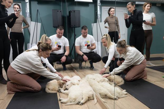 24SATA Paw Yoga, inovativni koncept joge koji je stigao u Hrvatsku