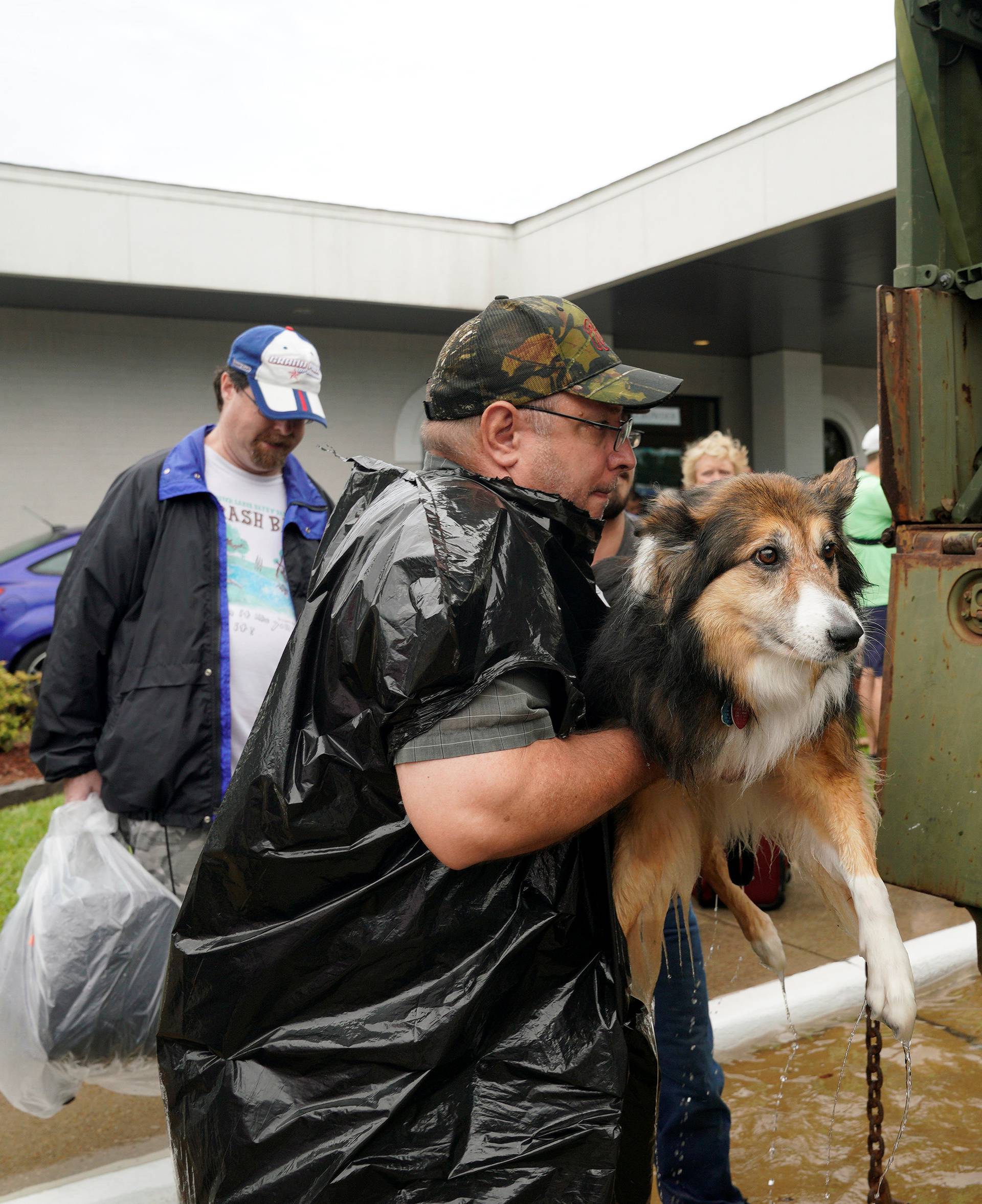 Volunteers load pets into a collector's vintage military truck to evacuate them from flood waters from Hurricane Harvey in Dickinson