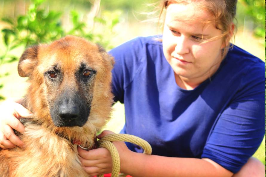 Sedam savjeta: Kako brinuti o ljubimcima tijekom pandemije