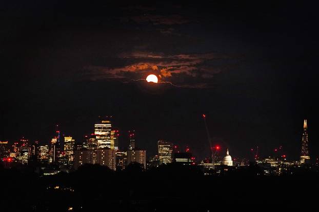 Blue Moon