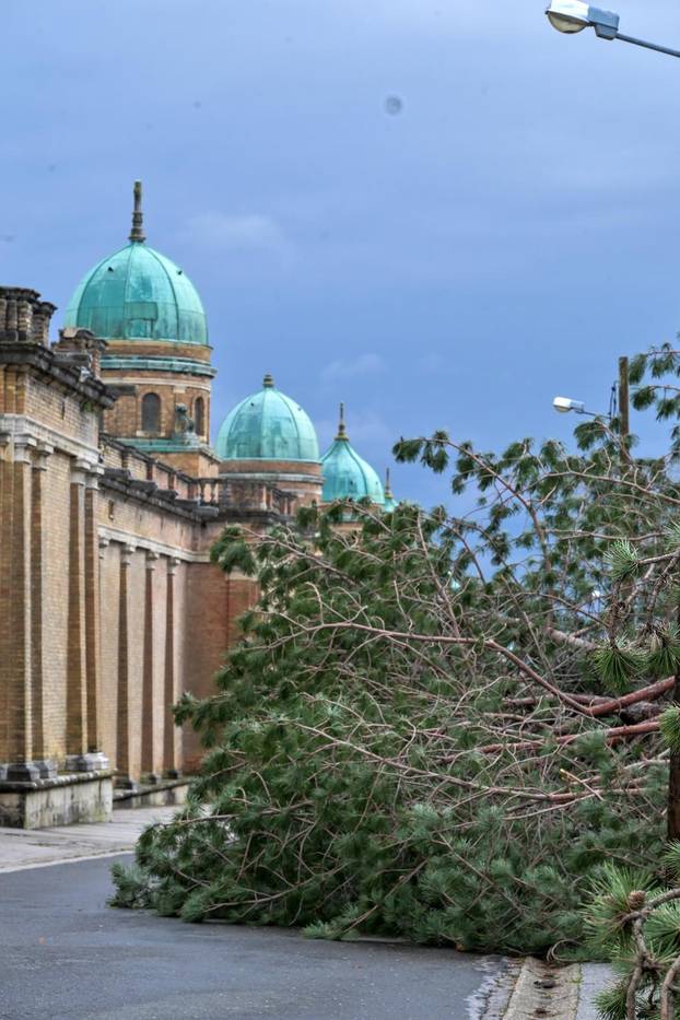 Zagreb: U nevremenu teško  oštećeno gradsko groblje Mirogoj