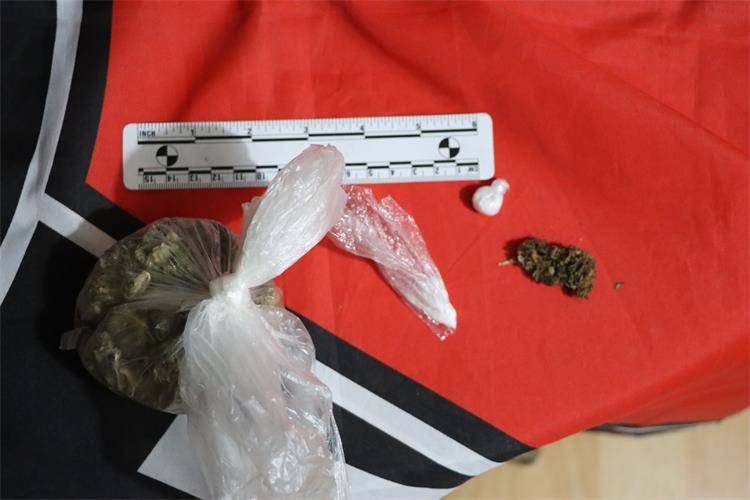 Ulovili požeške dilere: Pretražili kuće, našli kokain i marihuanu