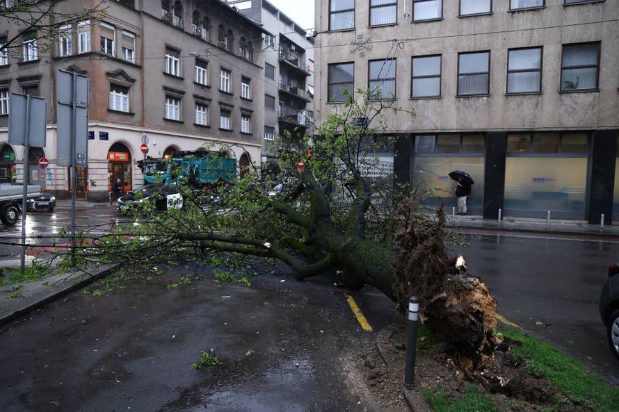 Zagreb:  Nevrijeme i jak vjetar srušili su nekoliko stabala u centru grada