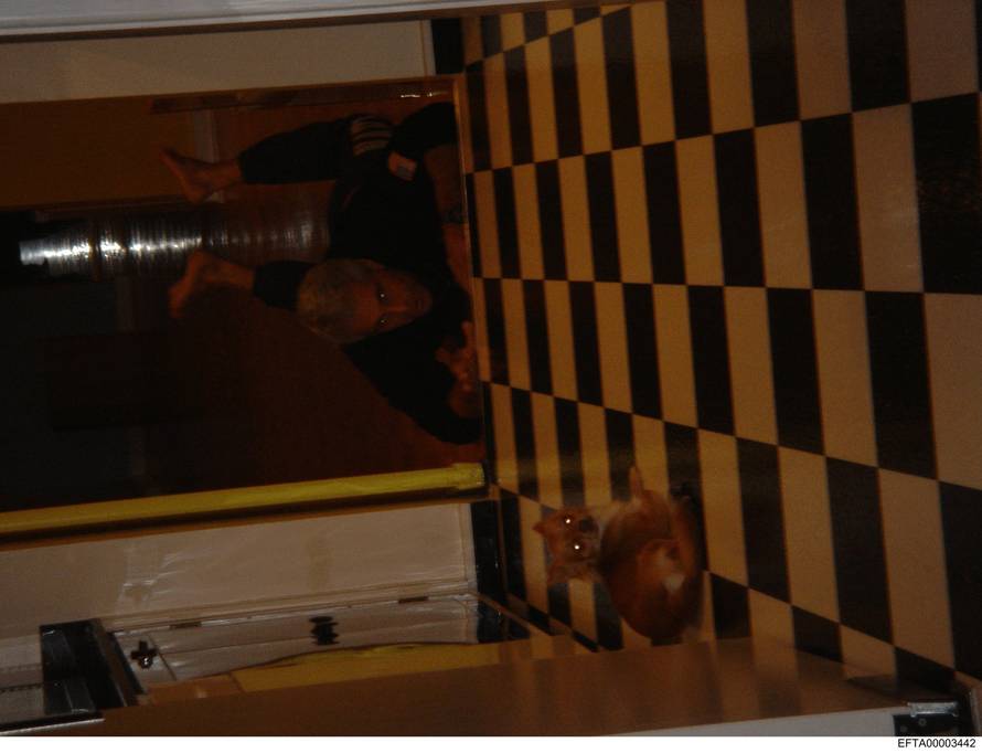 Ruskinje, privatni letovi, party na otoku: Ovako je Epstein gradio svoju mrežu sa slavnima