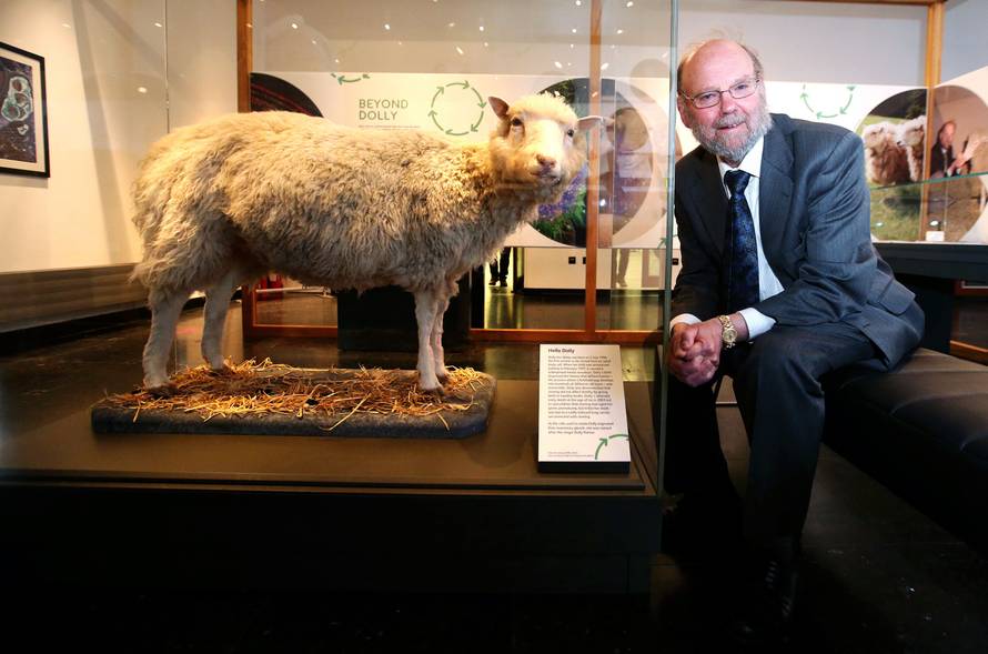Towards Dolly exhibition - Scotland