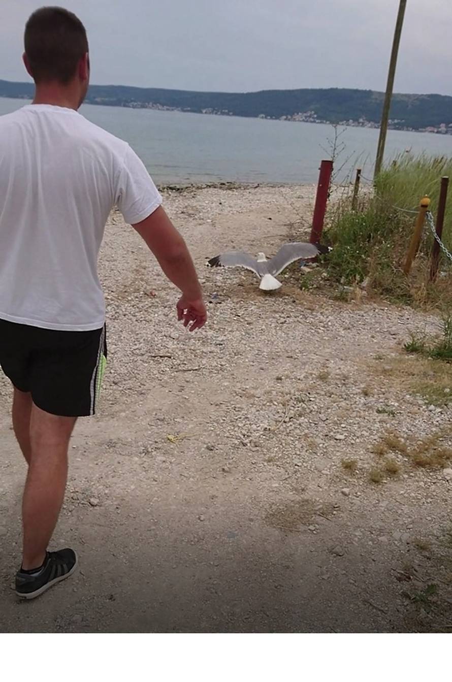 'Galeb bi uginuo u trnju, da prijatelj i ja nismo zalutali...'