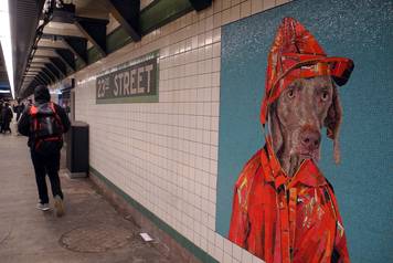 U londonskoj podzemnoj postavljeni mozaici s likovima pasa umjernika Williama Wegmana