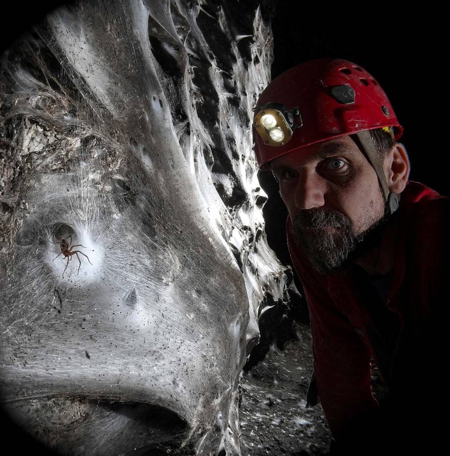 Massive spider web home to more than 100,000 spiders discovered in cave