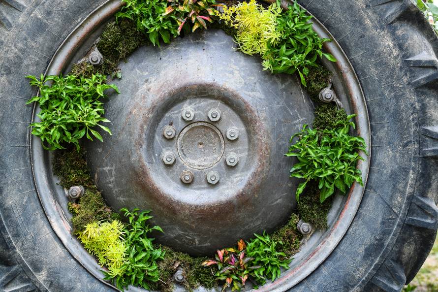 Floraart: Sadnice cvijeća od 2 kune, a za 25 mini vrt u posudi