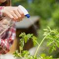 Prirodna zaštita biljaka: Top 5 najboljih fungicida koje možete jednostavno napraviti doma