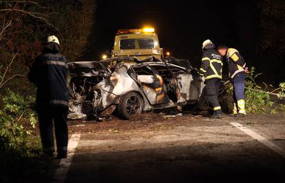 Ubio konja na cesti, zabio se u stablo pa izgorio u automobilu