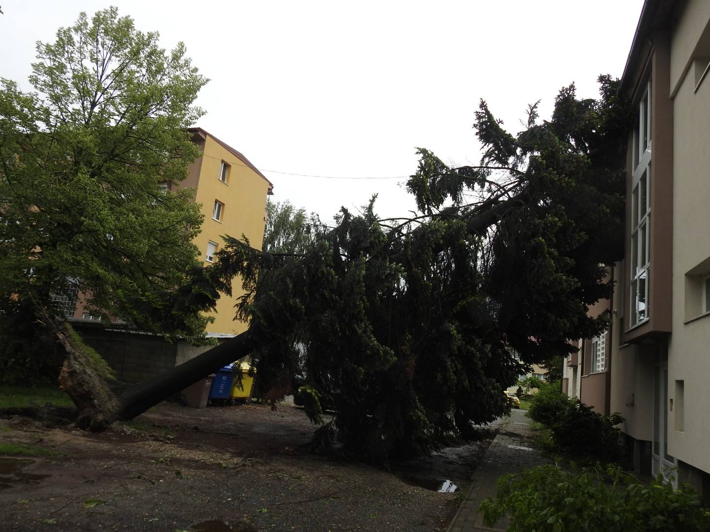 Strašno nevrijeme poharalo i Koprivnicu: Vjetar čupao i lomio stabla, nastala ogromna šteta