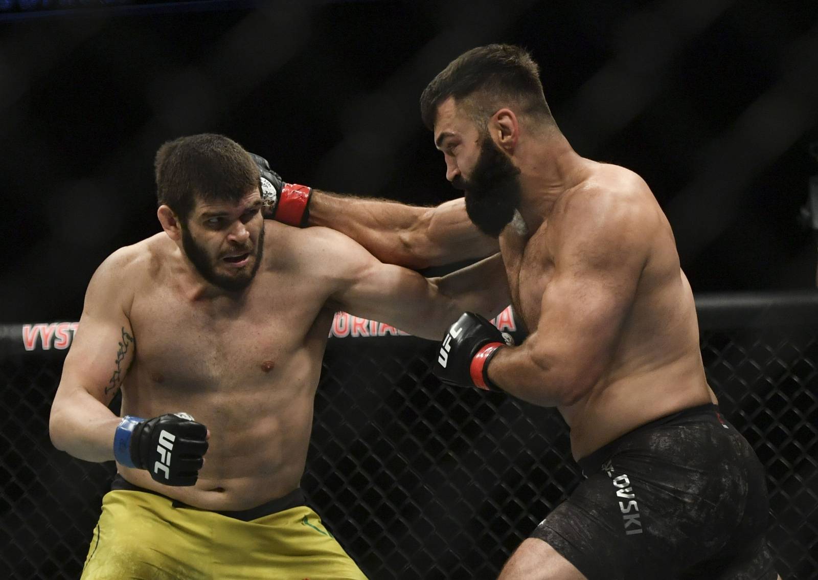 MMA: UFC Fight Night-Arlovski vs Lins