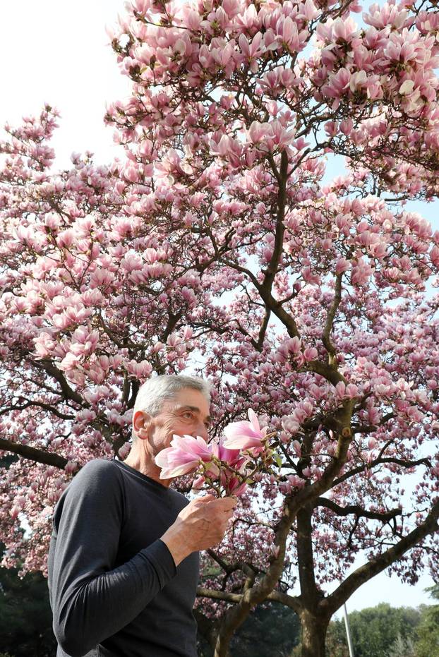 24sata Pula: Magnolija obitelji Borščak u Puli