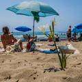 FOTO Pr&zcaron;ina je najljep&scaron;a pla&zcaron;a. To &cacute;e vam re&cacute;i svi na Kor&ccaron;uli. Iz pijeska raste &ccaron;ak i cvije&cacute;e...