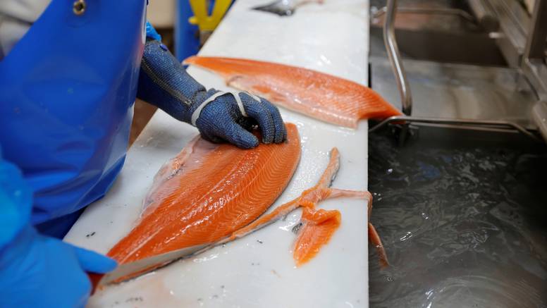 Australija: Radnici tvornice u Sydneyu ukrali 250 tona lososa