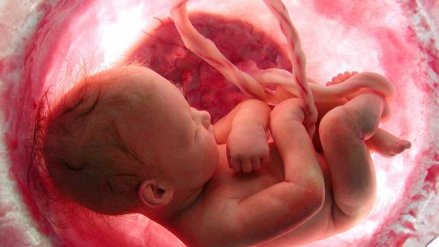 Video razvoja bebe u majčinom trbuhu - igra se, češka, mršti...