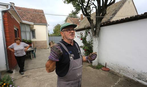 Ogromno gnijezdo: Strahujem da će mi unuke ubiti stršljeni