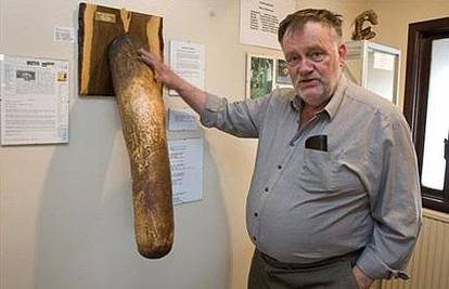 U muzeju falusa je najveći i najmanji penis na svijetu