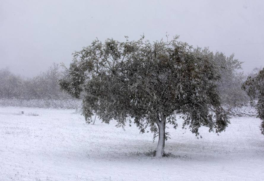 Snijeg zabijelio Pulu i Vodnjan