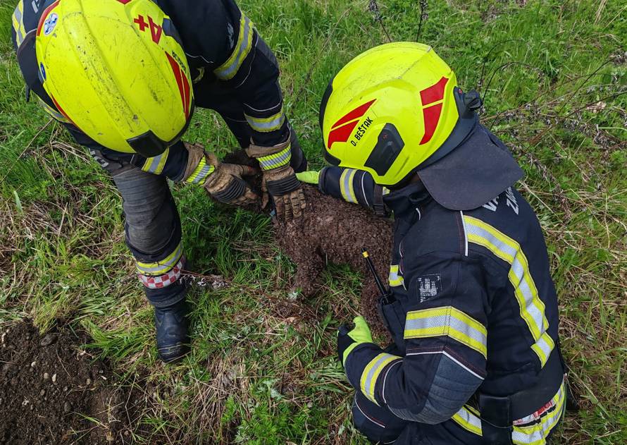 Zagrebački vatrogasci uz brojne intervencije spašavali i psa