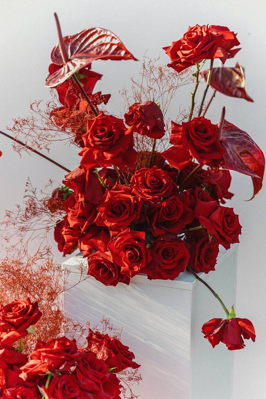 Kad elegancija susretne tradiciju: otvorena je nova Eurovilla poslovnica u Osijeku