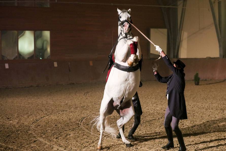 Održan Božićni bal lipicanaca u đakovačkoj Ergeli 