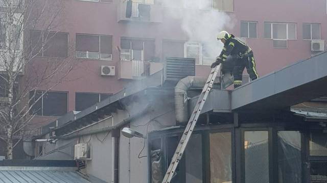 Brzo ga ugasili: Gorio dimnjak pivnice Zlatni medo u Savskoj